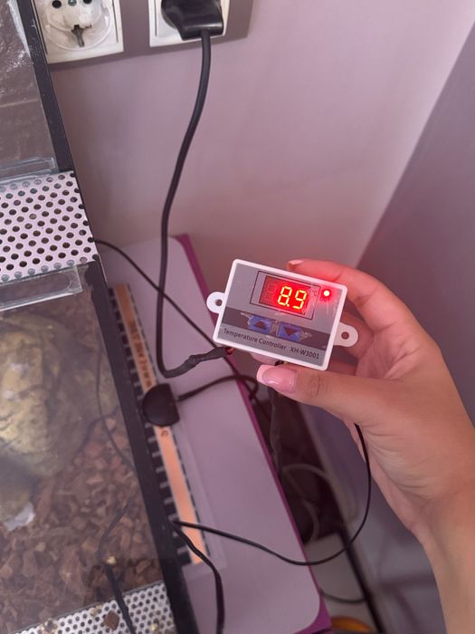 Терариум за гекон