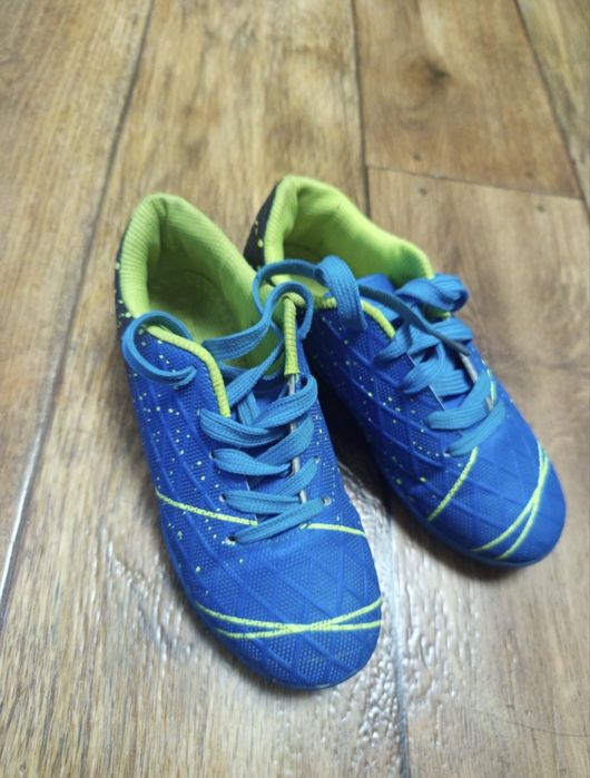 Обычный сороконожки