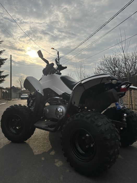 Vand ATV Dinli 300cc