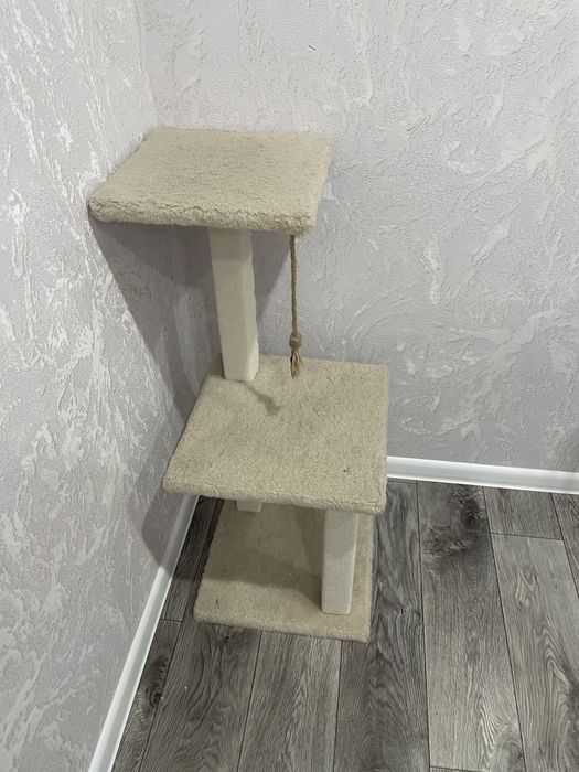 Когтеточка кошачья