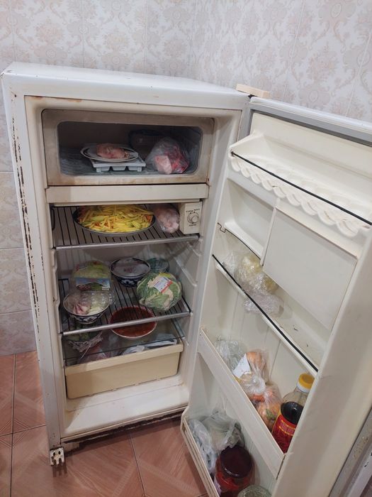 Берюуса халадилник