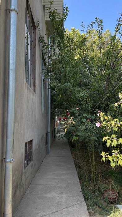 Toshkent Viloyati Bo'stonliq tumani Oq Tosh Soyliq qishlog'i