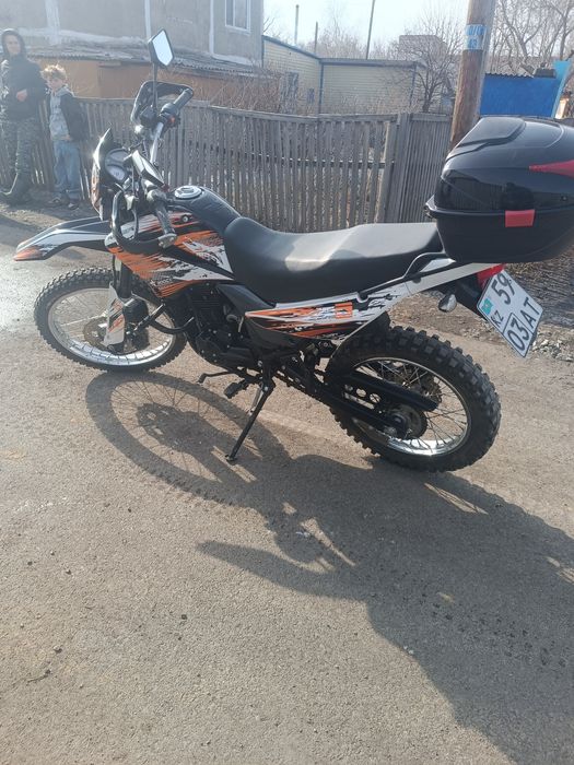 Рейсер пантера 300