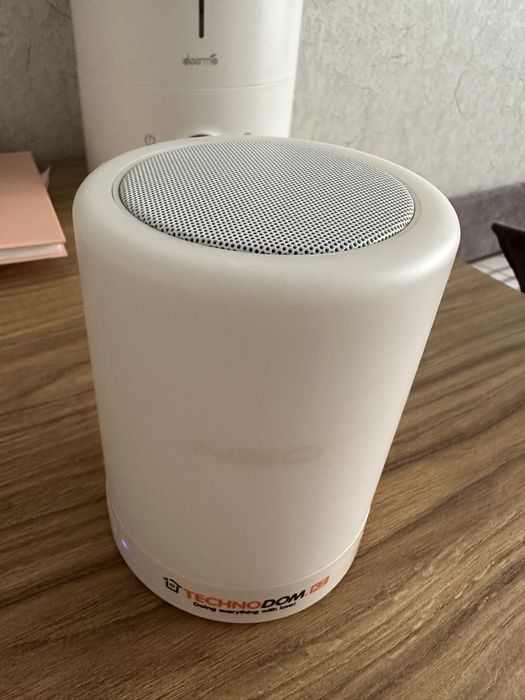 Портативная колонка