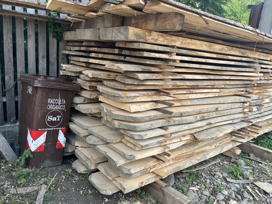 Cherestea din Paltin