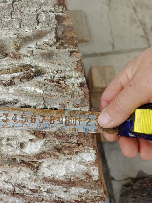 Стволы ореха для мебели и других работ