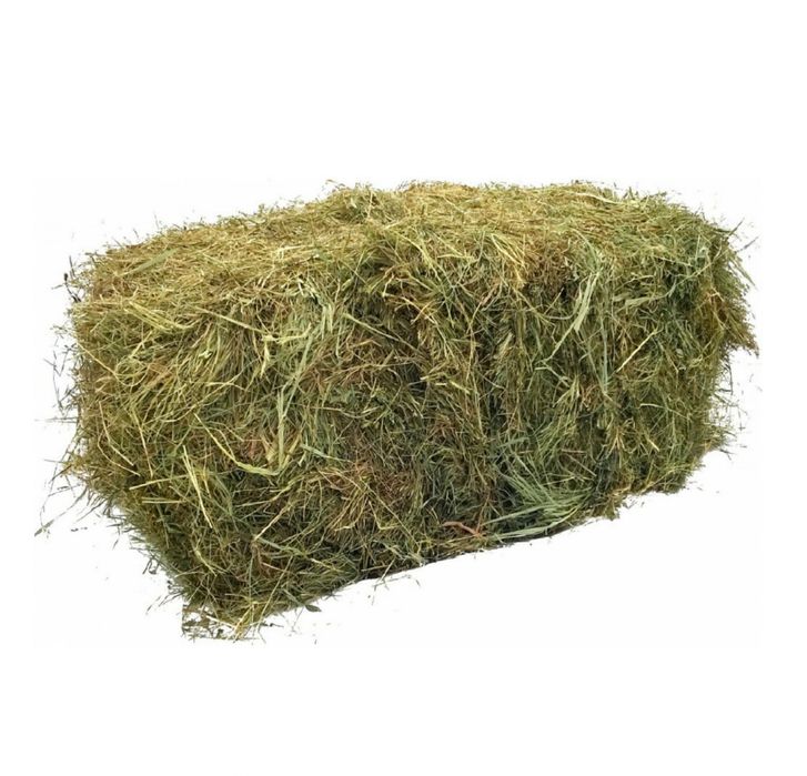 Продаю Сено для скота
