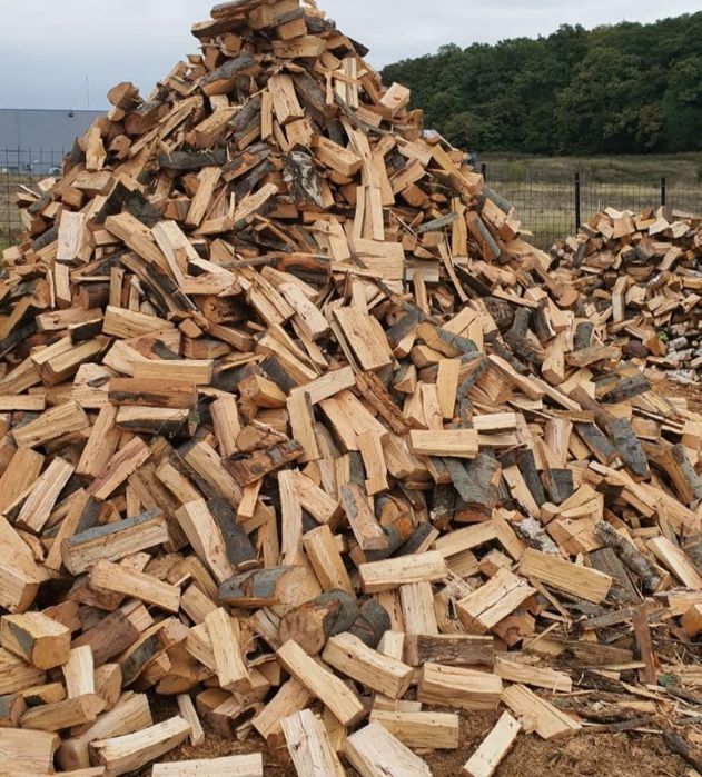 Caut de treabă în domeniul lemnelor