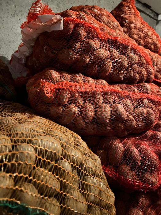 Vând cartofi de samanta !!!