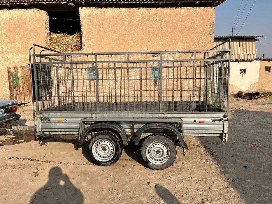 Rossiya pirisip yeni 150 yzuligi 305