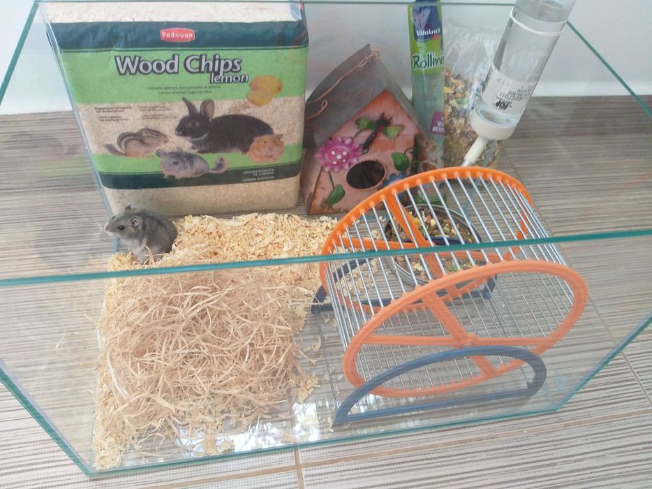 Acvariu pesti sau hamsteri 30x60cm complet echipat + hamsteri bonus