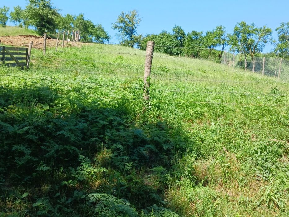 Gradina de vanzare