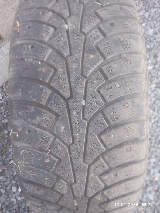 Шины шипованые трианжел