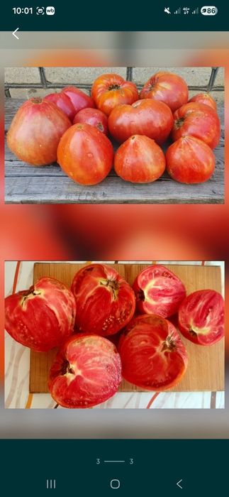 Домашний вкусный огонёк