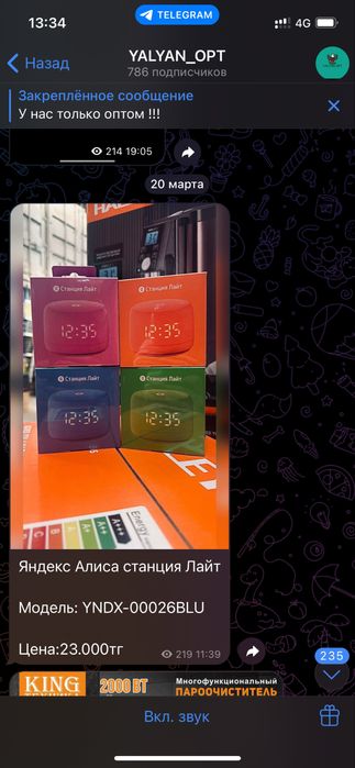 Яндекс колонка, Алиса, Станция