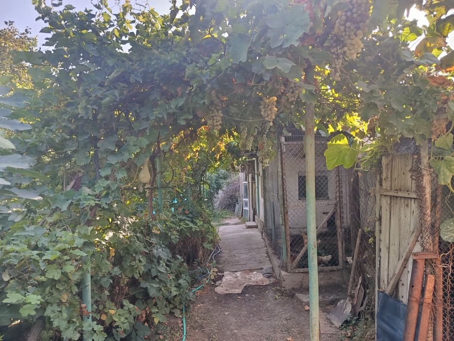 Продам дом  в городе с участком 7 соток