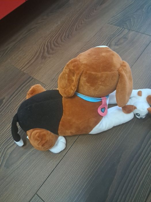 Catel de plus mama cu pui