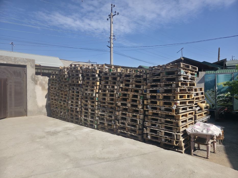 Paddon bor 38000 ming dan