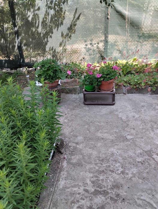 Дава се под наем Тристаен апартамент в София, Редута - 91 кв.м за 558.45 € - Снимка #11