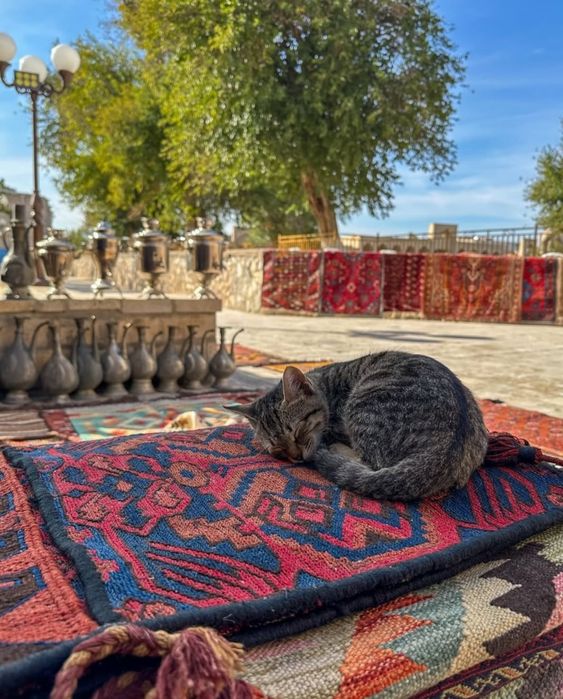 Экскурсия по Бухаре