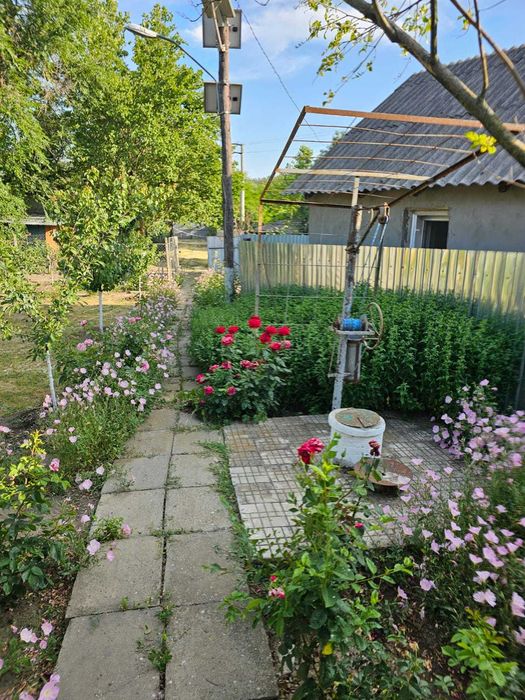 Casa dispunere centrala in OANCEA !