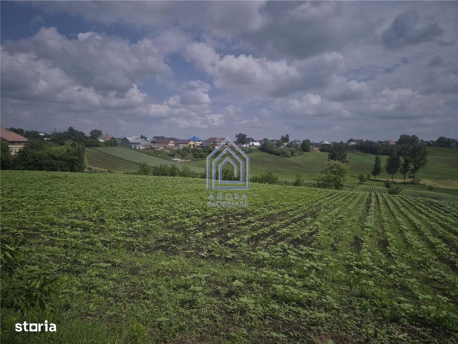 Teren intravilan Moara Nica - zona Scolii