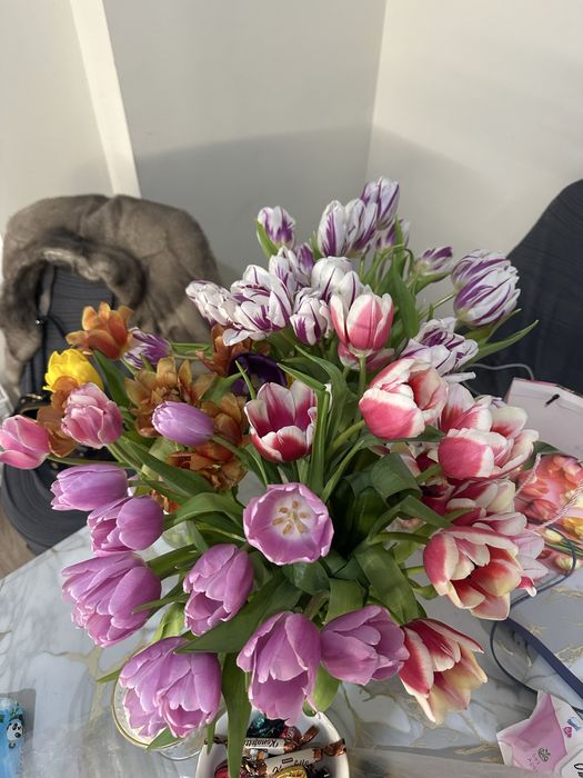 Тюльпаны свежий сегодня