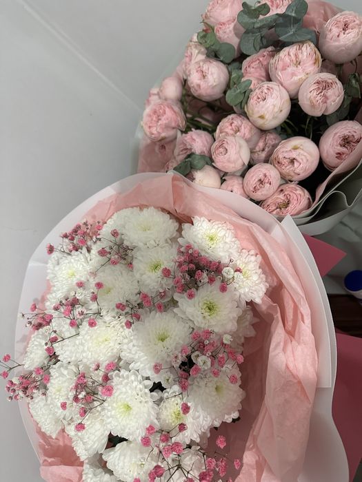 Срочна продам цветы хризантема