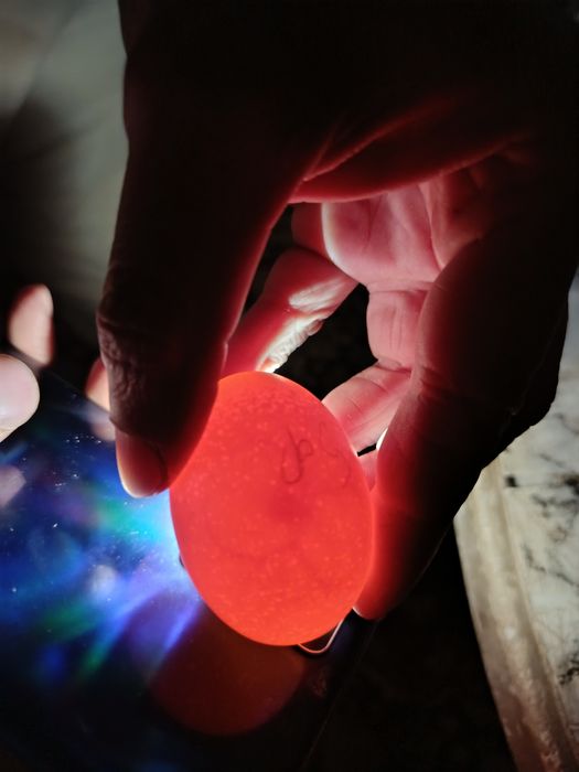 Продам новые инкубаторы