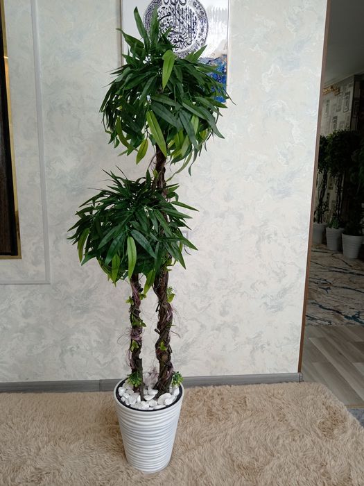 Suniy gullar. Suniy daraxtlar. Искусственные цветы искусственные дерев