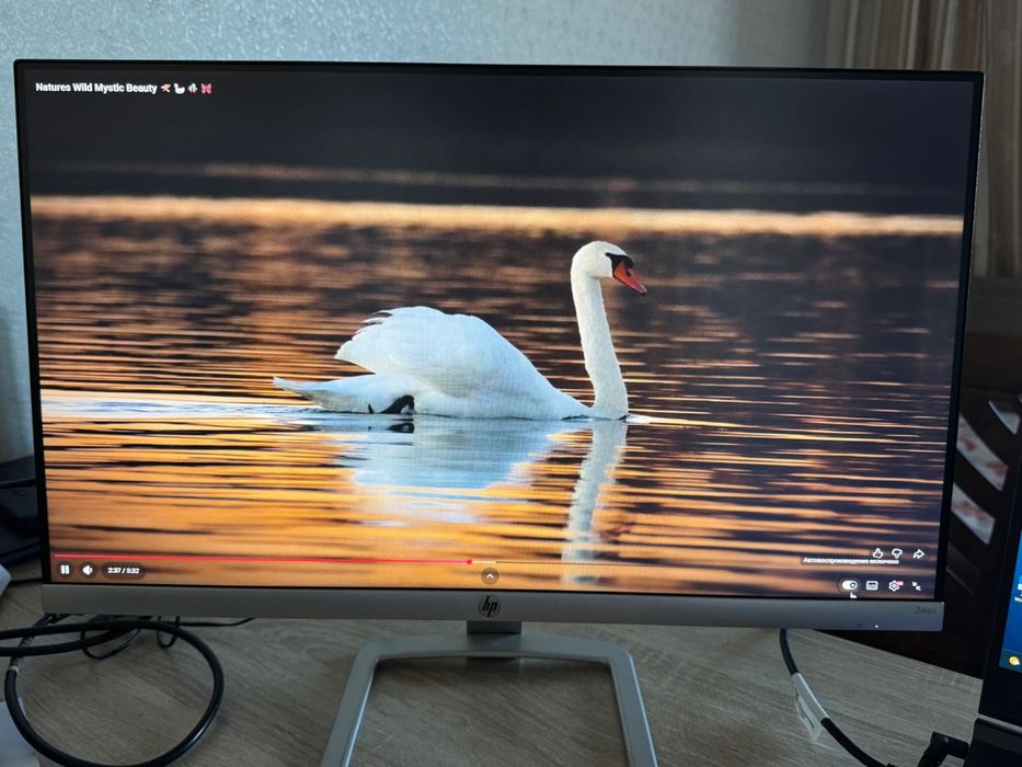 Продается Монитор Hp