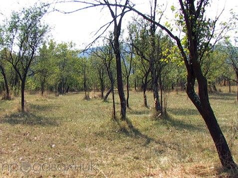 Продава се Парцел в с. Борима, Област Ловеч - 8900 кв.м за 8 €/кв.м - Снимка #3