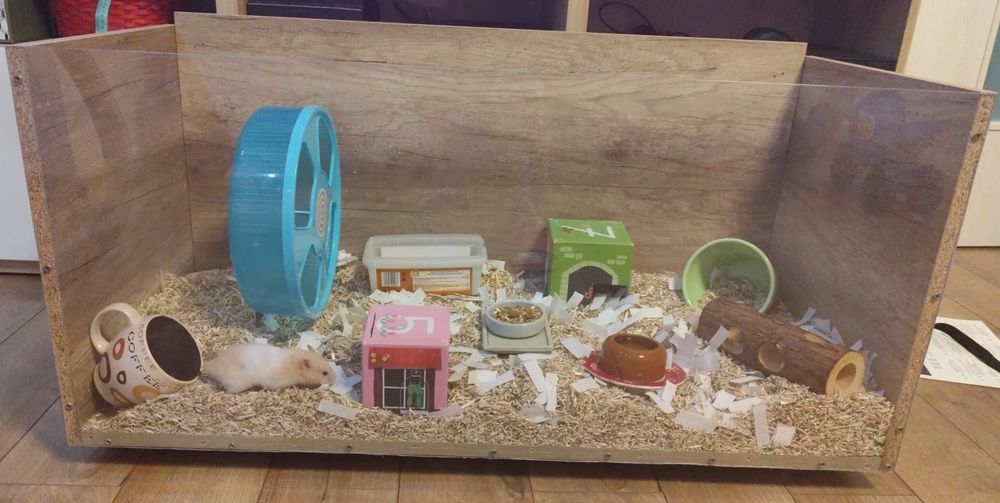Cusca hamster porcusor de guineea iepure rozatoare, pe roti