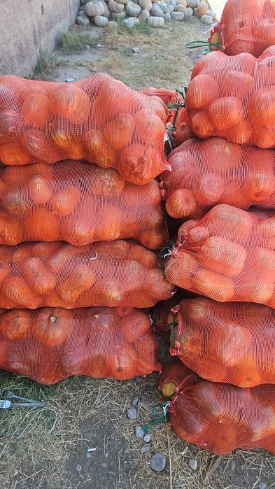 1000тенге малға аскабак