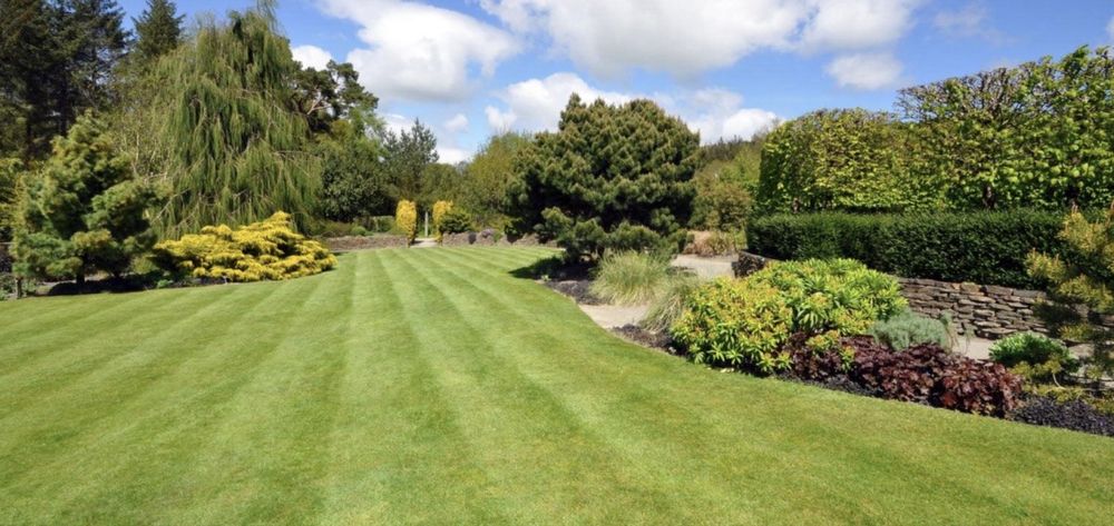 Scapa de Țanțari si Capușe din curtea ta