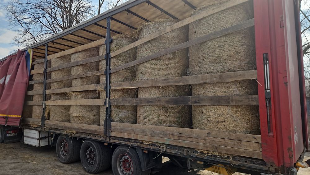 Baloți rotunzi  lucerna