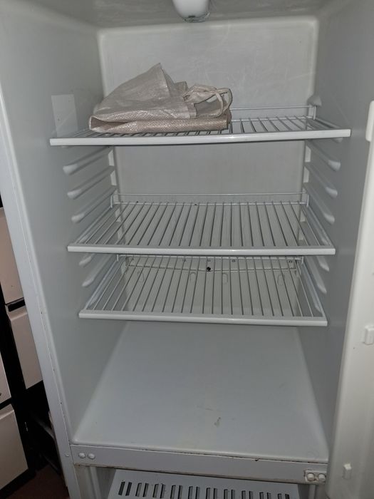 Biryusa holadelnik бу