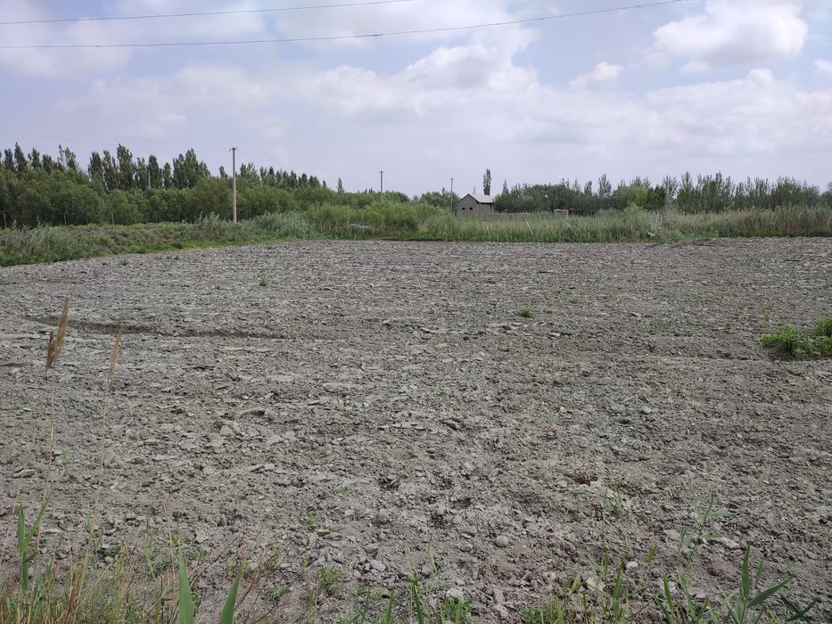 Ер сотилади Кукон атрофида.