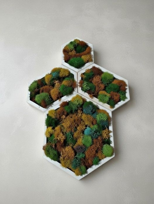 Шестоъгълна дървена рамка, Дървена рамка пчелна пита