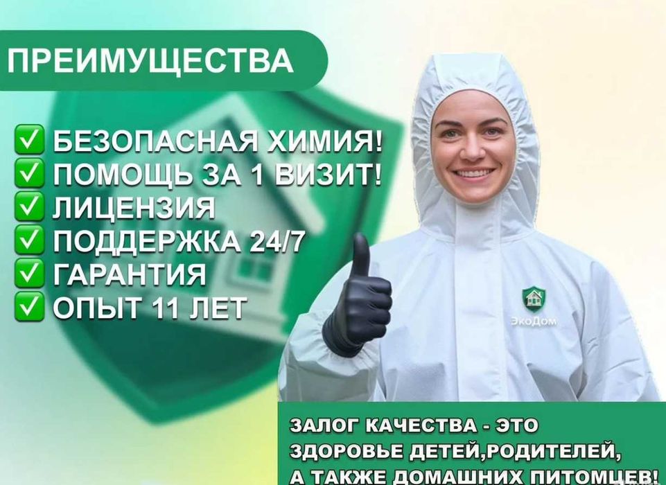 Дезинфекция от клопов Dezinfeksiya tarakan klop в Ташкент Гарантия