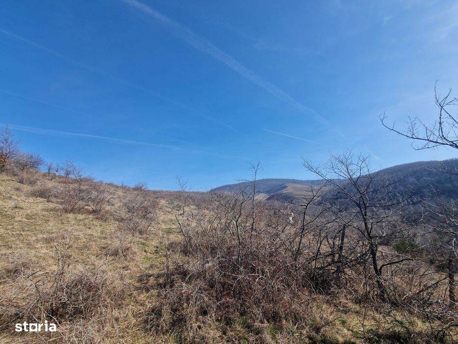 Teren extravilan, 23 400 mp, Cuvin (Ghioroc)