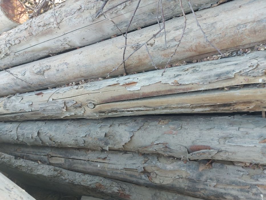 Болор сотилади  4 методик