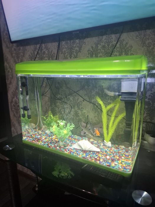 Аквариум заводской