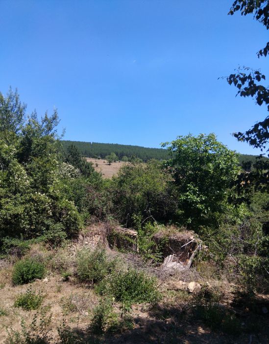 Продава парцел в с.Долна Диканя обл.Перник