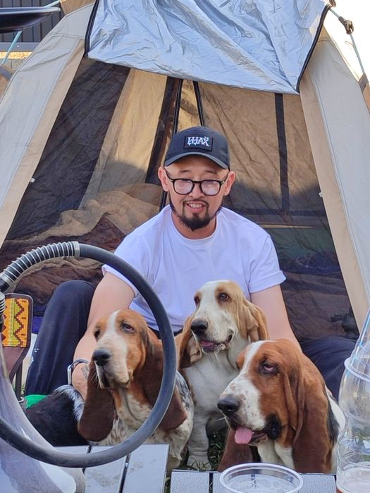 Продам  Бассеты Хаунд