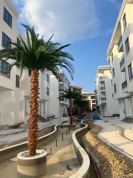 Изкуствена палма