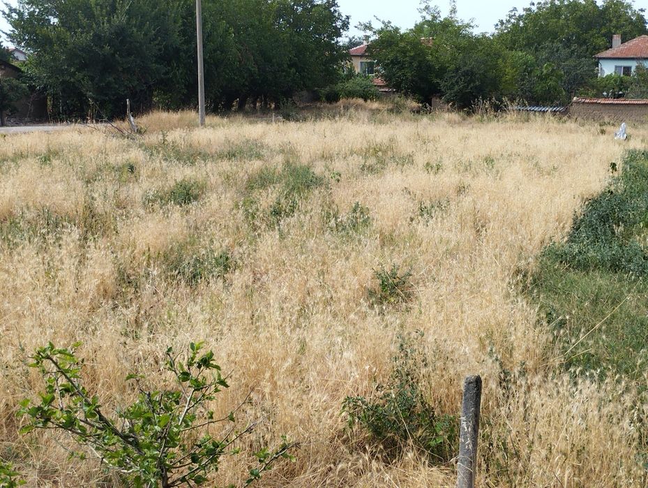 Продава се Парцел в с. Цалапица, Област Пловдив - 545 кв.м за 74 €/кв.м - Снимка #5