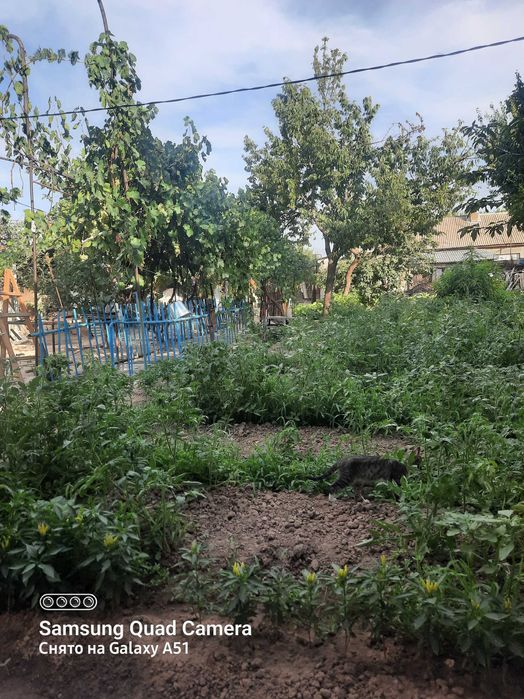 Азадбашда  уй сотилади махалла богча мактаб поликлиника масчитякин