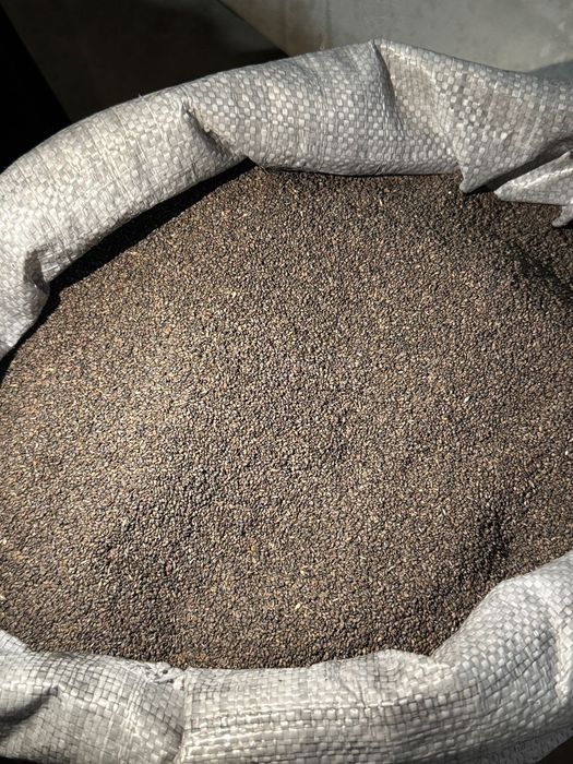 Семена люцерна. Жоңышқа тұқым, ұрық