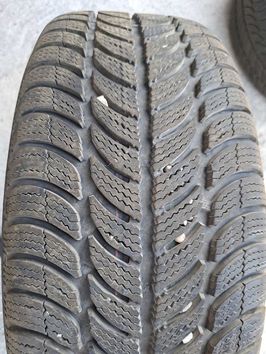 Гуми Sava Eskimo